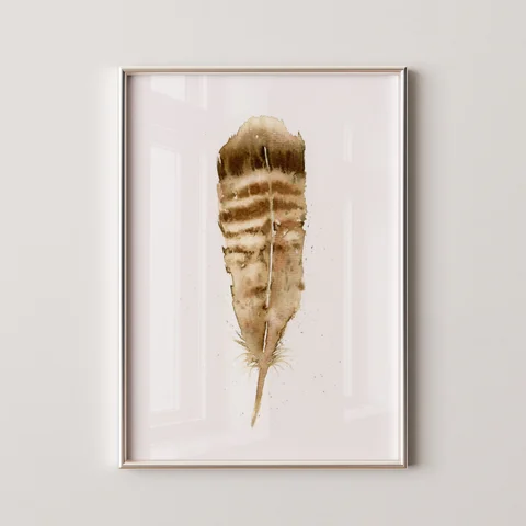 Image of a feather watercolor painting by Shayna Larsen, originals & prints available