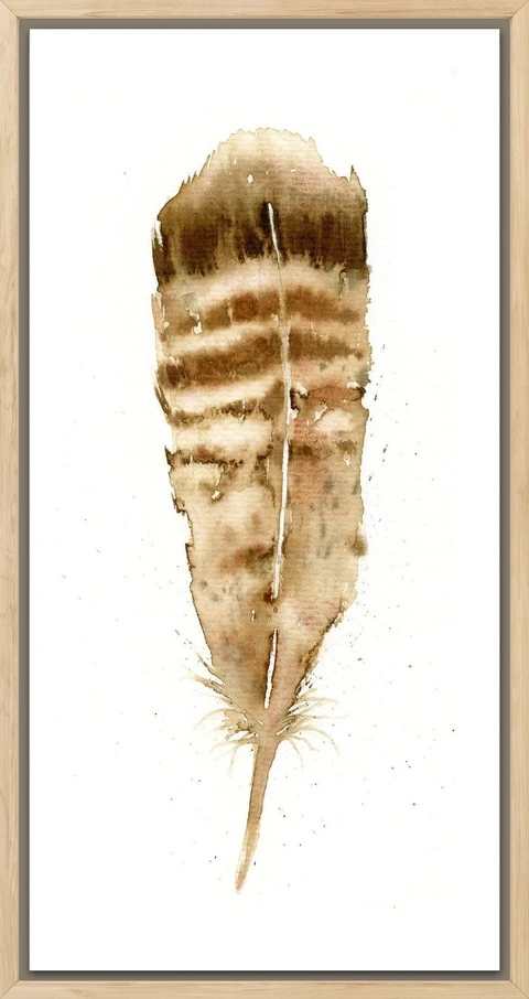 Image of a feather watercolor painting by Shayna Larsen, originals & prints available