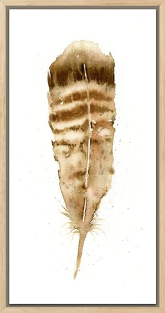 Image of a feather watercolor painting by Shayna Larsen, originals & prints available