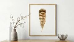 Image of a feather watercolor painting by Shayna Larsen, originals & prints available