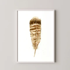 Image of a feather watercolor painting by Shayna Larsen, originals & prints available