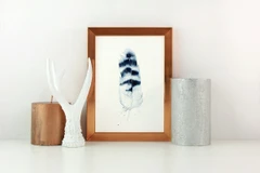 Image of a feather watercolor painting by Shayna Larsen, originals & prints available