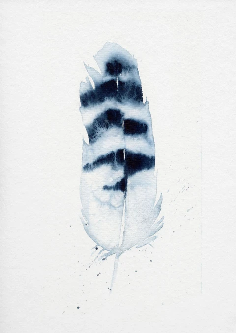 Image of a feather watercolor painting by Shayna Larsen, originals & prints available