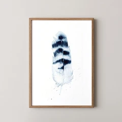 Image of a feather watercolor painting by Shayna Larsen, originals & prints available