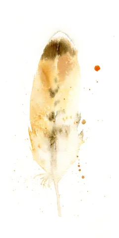 Image of a feather watercolor painting by Shayna Larsen, originals & prints available