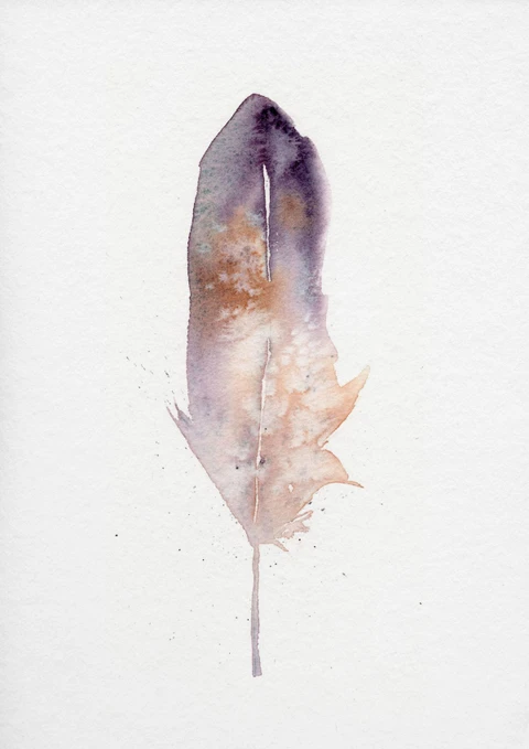 Image of a feather watercolor painting by Shayna Larsen, originals & prints available