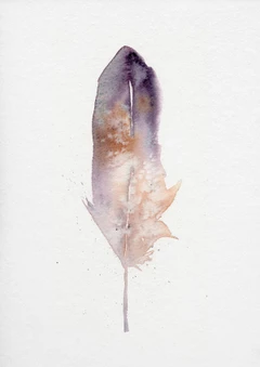 Image of a feather watercolor painting by Shayna Larsen, originals & prints available