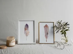 Image of a feather watercolor painting by Shayna Larsen, originals & prints available