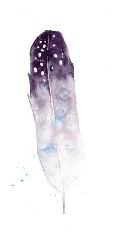Image of a feather watercolor painting by Shayna Larsen, originals & prints available