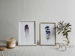 Image of a feather watercolor painting by Shayna Larsen, originals & prints available