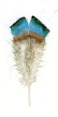 Image of a feather watercolor painting by Shayna Larsen, originals & prints available