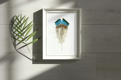 Image of a feather watercolor painting by Shayna Larsen, originals & prints available