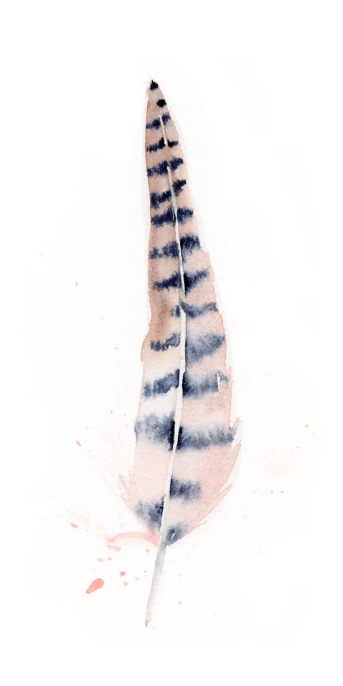 Image of a feather watercolor painting by Shayna Larsen, originals & prints available