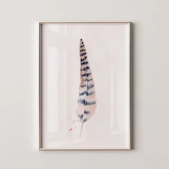 Image of a feather watercolor painting by Shayna Larsen, originals & prints available