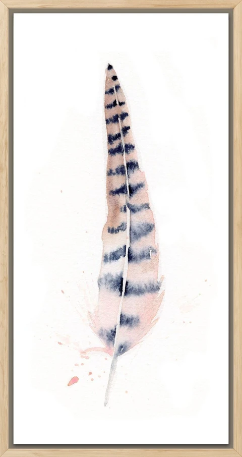 Image of a feather watercolor painting by Shayna Larsen, originals & prints available