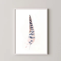 Image of a feather watercolor painting by Shayna Larsen, originals & prints available