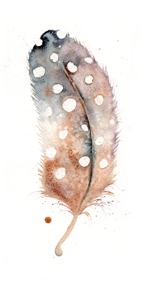 Image of a feather watercolor painting by Shayna Larsen, originals & prints available