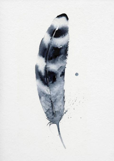 Image of a feather watercolor painting by Shayna Larsen, originals & prints available