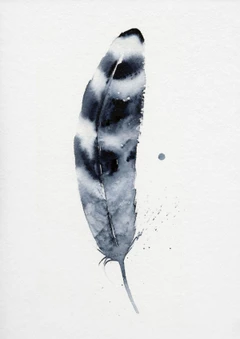 Image of a feather watercolor painting by Shayna Larsen, originals & prints available