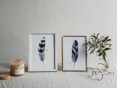 Image of a feather watercolor painting by Shayna Larsen, originals & prints available