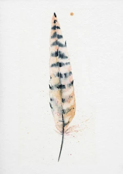 Image of a feather watercolor painting by Shayna Larsen, originals & prints available
