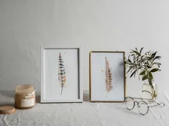 Image of a feather watercolor painting by Shayna Larsen, originals & prints available