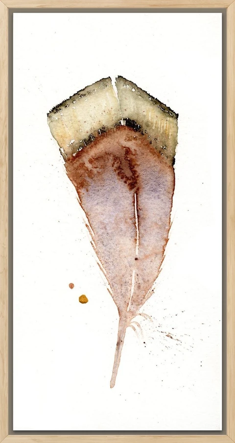 Image of a feather watercolor painting by Shayna Larsen, originals & prints available