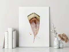 Image of a feather watercolor painting by Shayna Larsen, originals & prints available