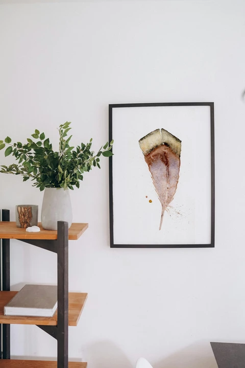 Image of a feather watercolor painting by Shayna Larsen, originals & prints available