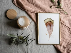 Image of a feather watercolor painting by Shayna Larsen, originals & prints available