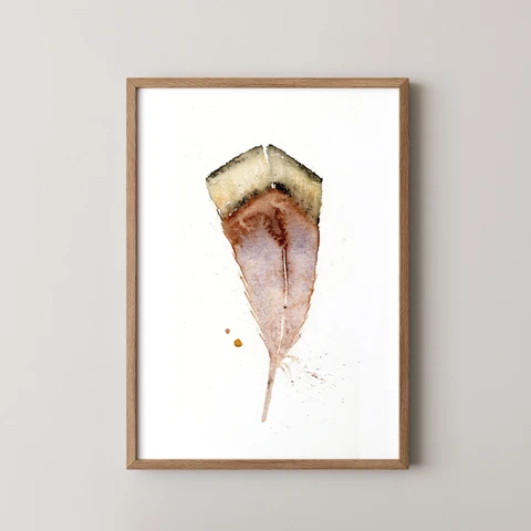 Image of a feather watercolor painting by Shayna Larsen, originals & prints available