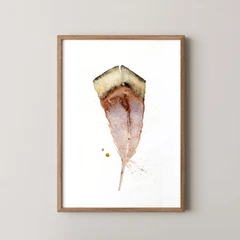 Image of a feather watercolor painting by Shayna Larsen, originals & prints available