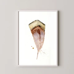 Image of a feather watercolor painting by Shayna Larsen, originals & prints available