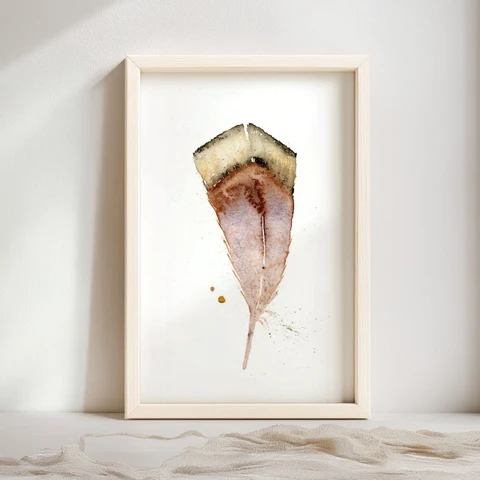 Image of a feather watercolor painting by Shayna Larsen, originals & prints available