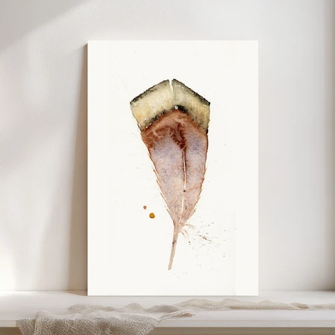 Image of a feather watercolor painting by Shayna Larsen, originals & prints available