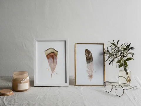 Image of a feather watercolor painting by Shayna Larsen, originals & prints available