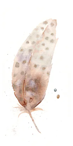 Image of a feather watercolor painting by Shayna Larsen, originals & prints available