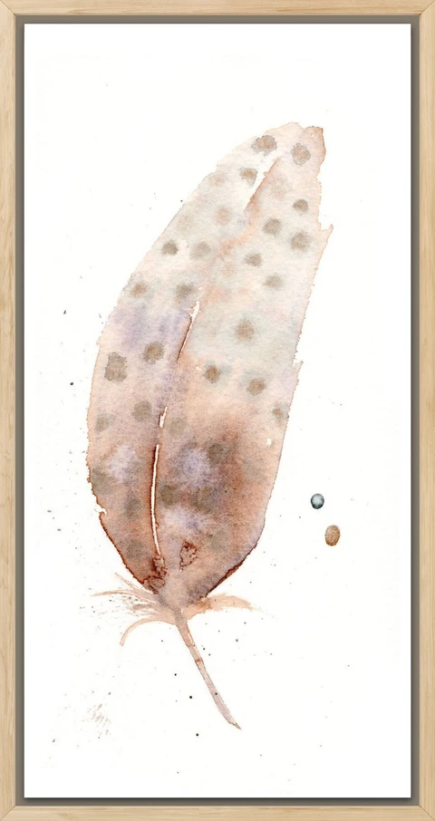 Image of a feather watercolor painting by Shayna Larsen, originals & prints available