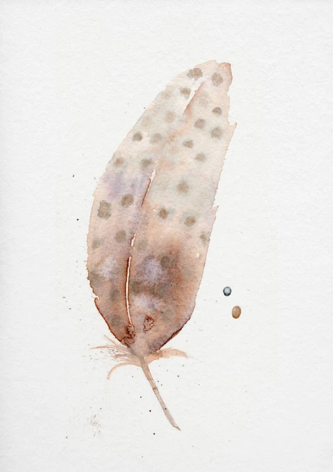 Image of a feather watercolor painting by Shayna Larsen, originals & prints available