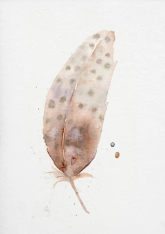 Image of a feather watercolor painting by Shayna Larsen, originals & prints available