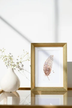Image of a feather watercolor painting by Shayna Larsen, originals & prints available