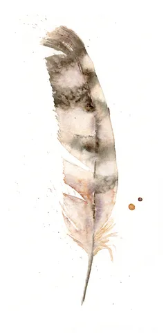 Image of a feather watercolor painting by Shayna Larsen, originals & prints available