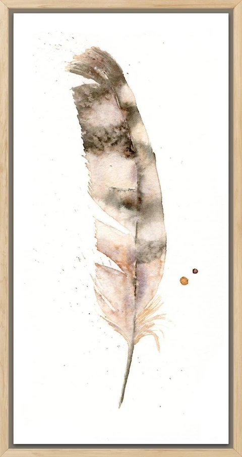 Image of a feather watercolor painting by Shayna Larsen, originals & prints available