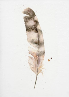 Image of a feather watercolor painting by Shayna Larsen, originals & prints available