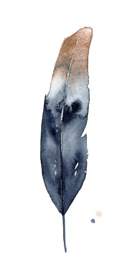 Image of a feather watercolor painting by Shayna Larsen, originals & prints available