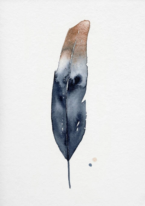 Image of a feather watercolor painting by Shayna Larsen, originals & prints available