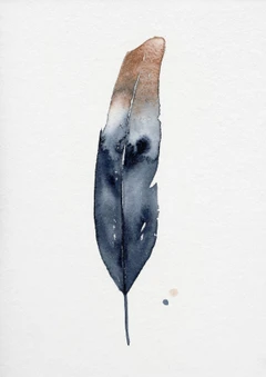 Image of a feather watercolor painting by Shayna Larsen, originals & prints available