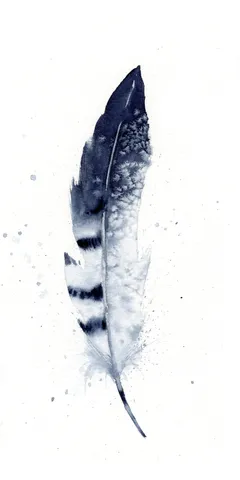 Image of a feather watercolor painting by Shayna Larsen, originals & prints available
