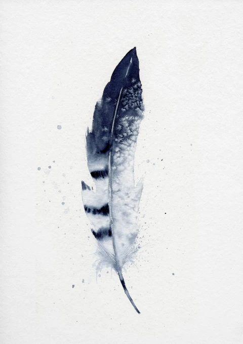 Image of a feather watercolor painting by Shayna Larsen, originals & prints available
