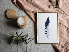Image of a feather watercolor painting by Shayna Larsen, originals & prints available